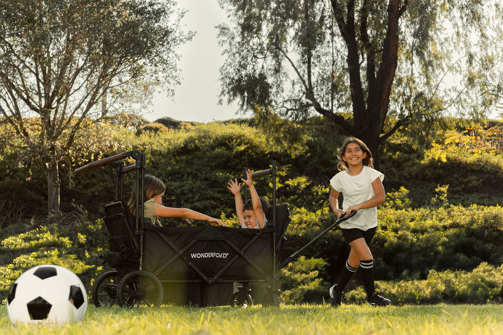 X4R Stroller Wagon - Image 22